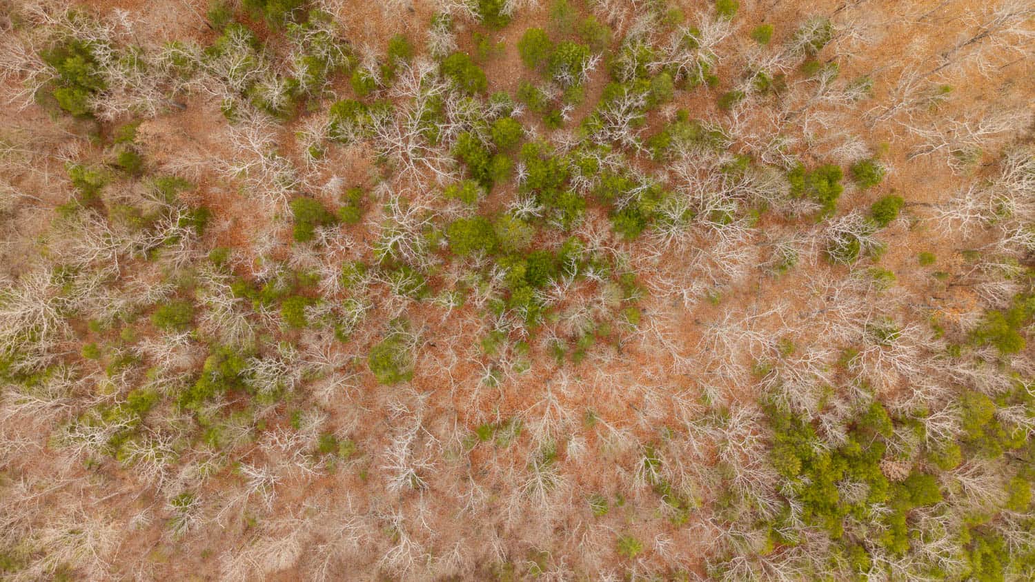 000 Inca Circle, Cherokee Village, Arkansas