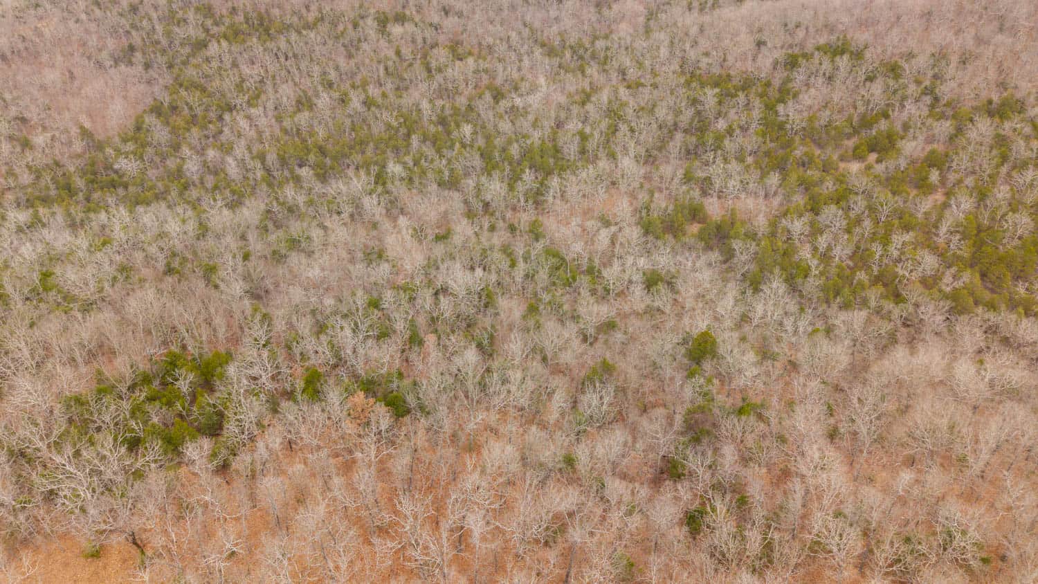 000 Inca Circle, Cherokee Village, Arkansas