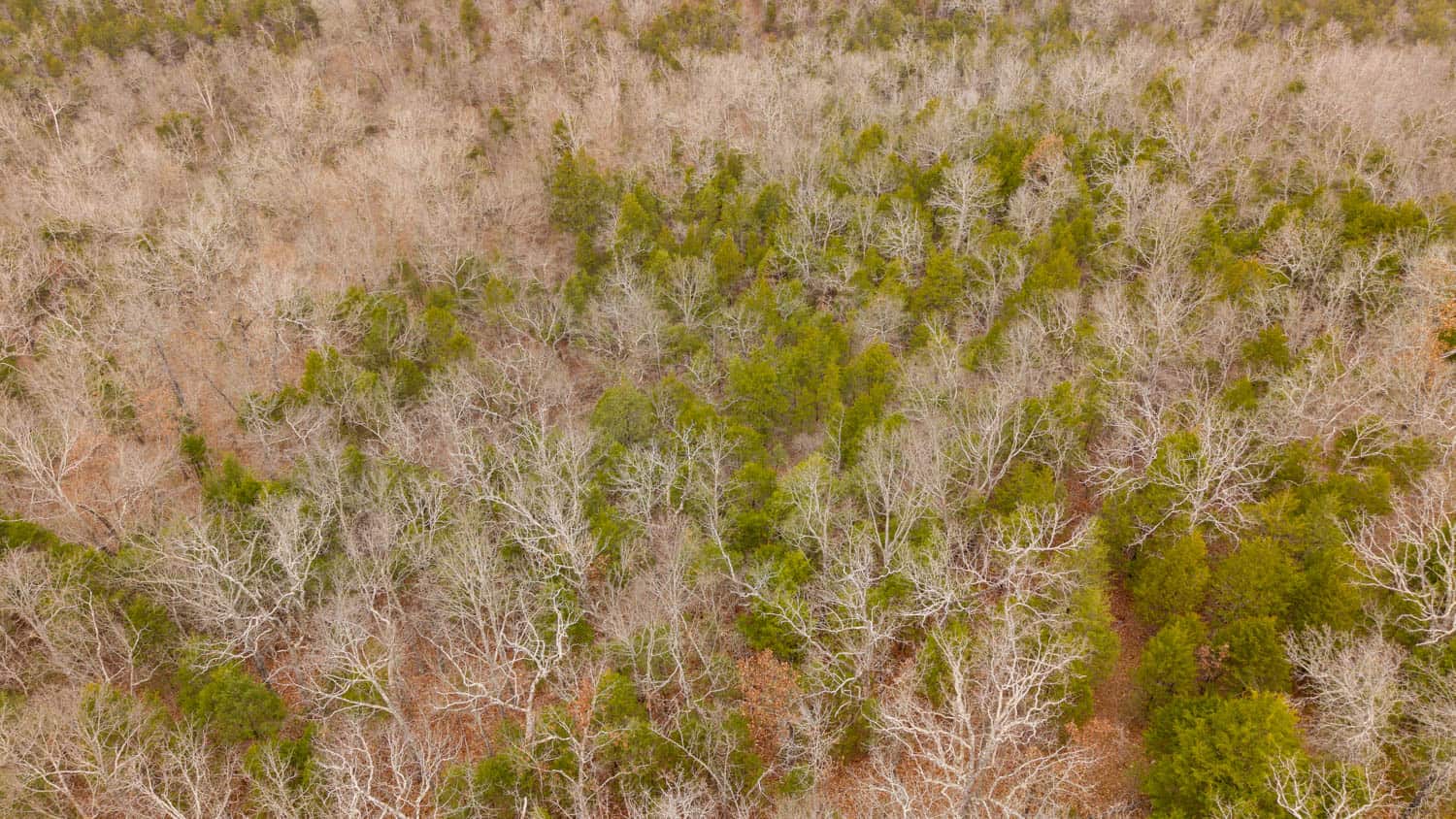 000 Inca Circle, Cherokee Village, Arkansas