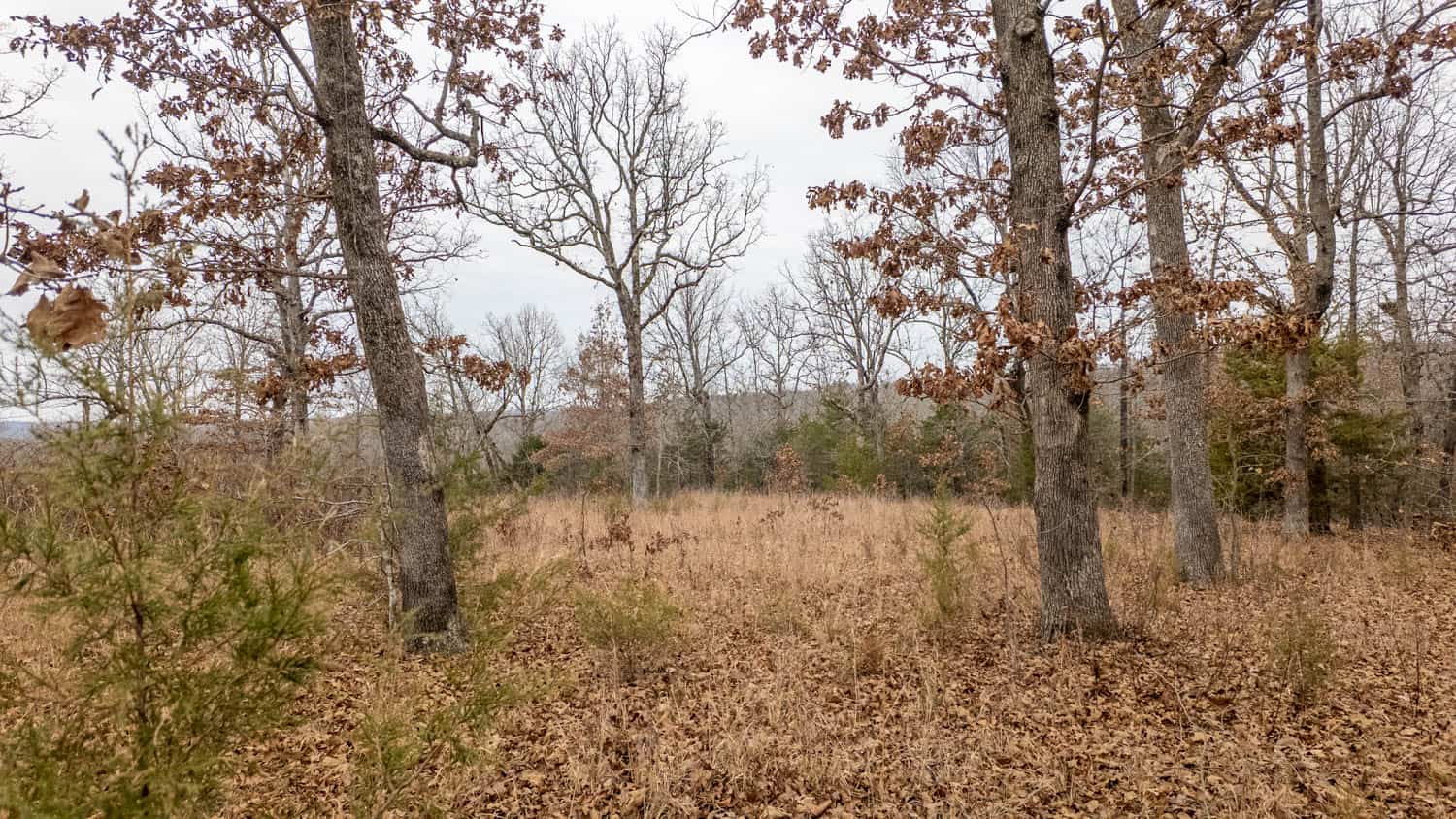 000 Inca Circle, Cherokee Village, Arkansas