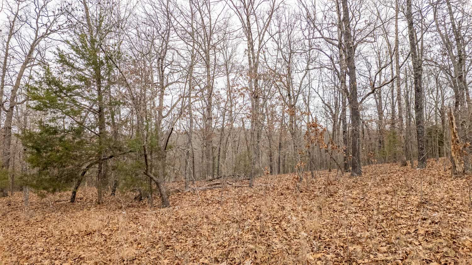 000 Inca Circle, Cherokee Village, Arkansas