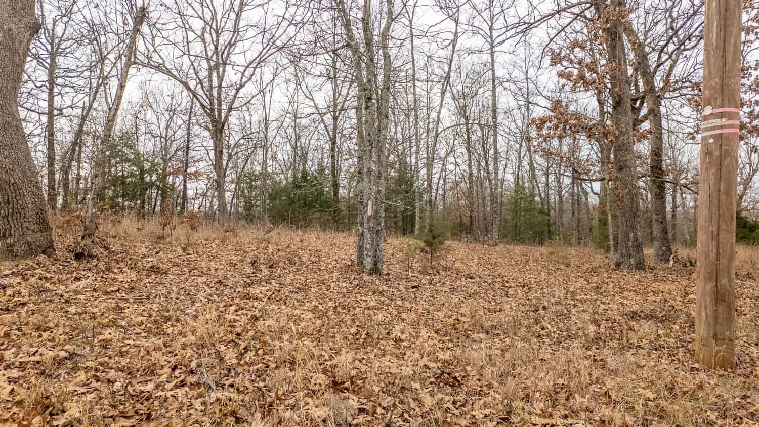 000 Inca Circle, Cherokee Village, Arkansas