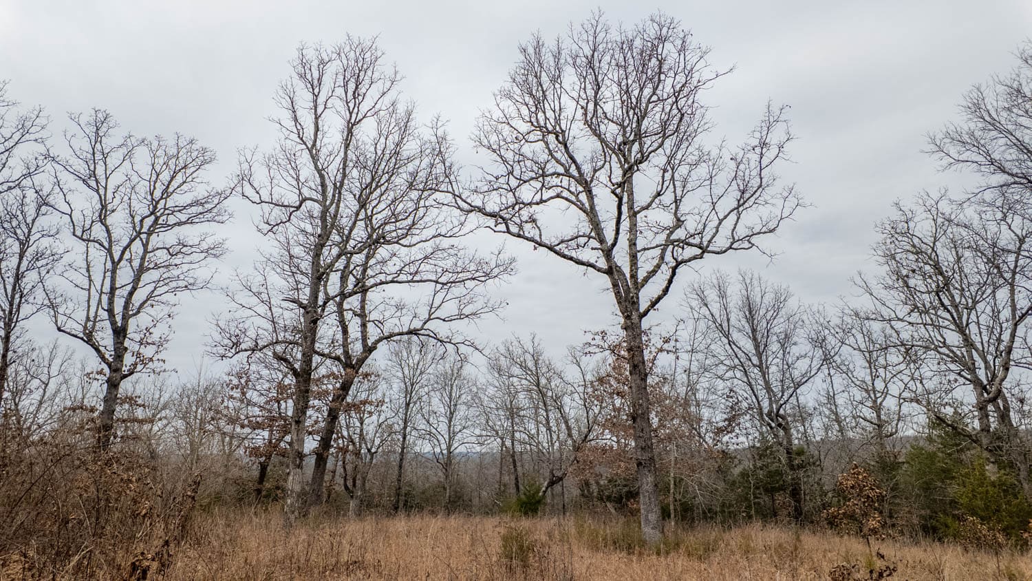 000 Inca Circle, Cherokee Village, Arkansas