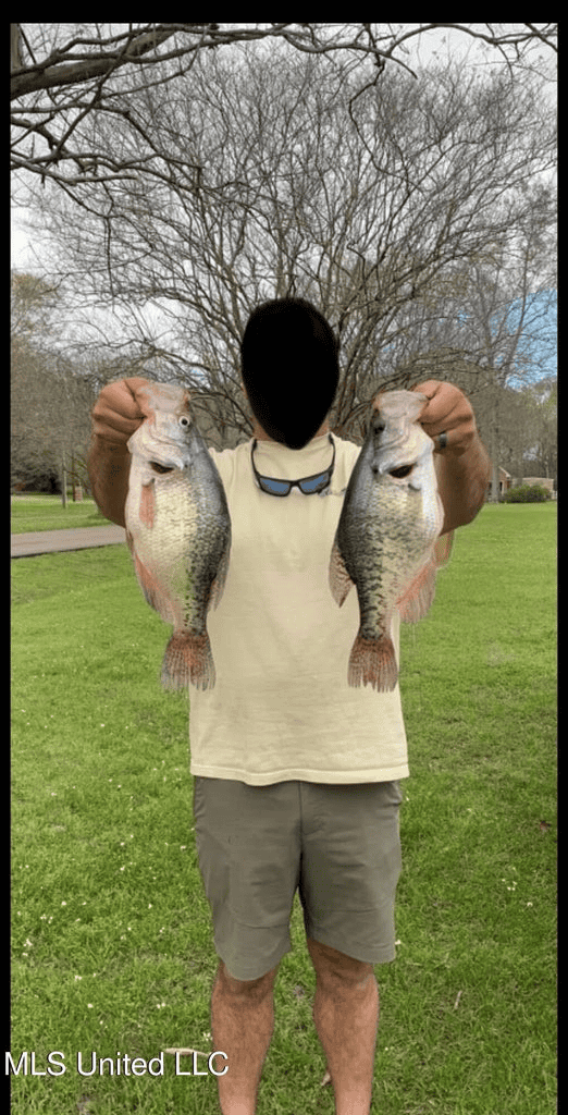 Natchez, MS – The Natchez Retreat on 47 Acres