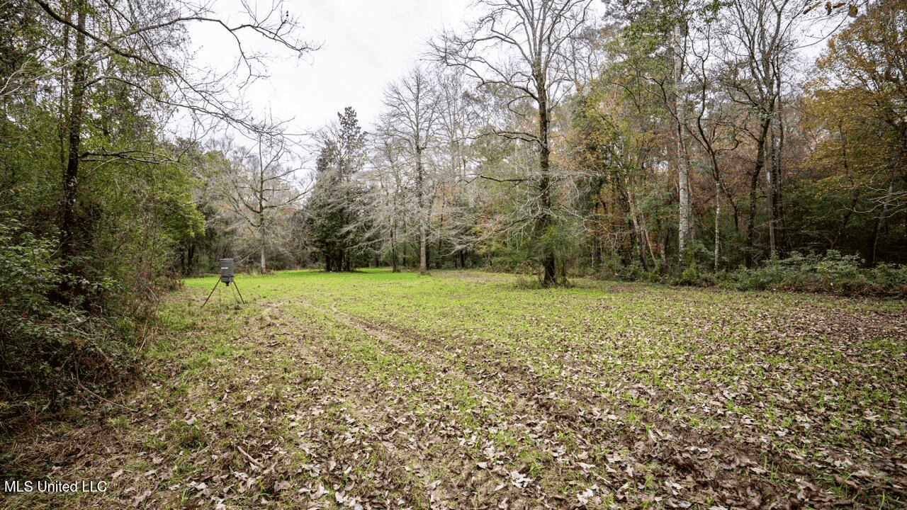 Asilo Farms on Bala Chitto Creek, Southwest Mississippi