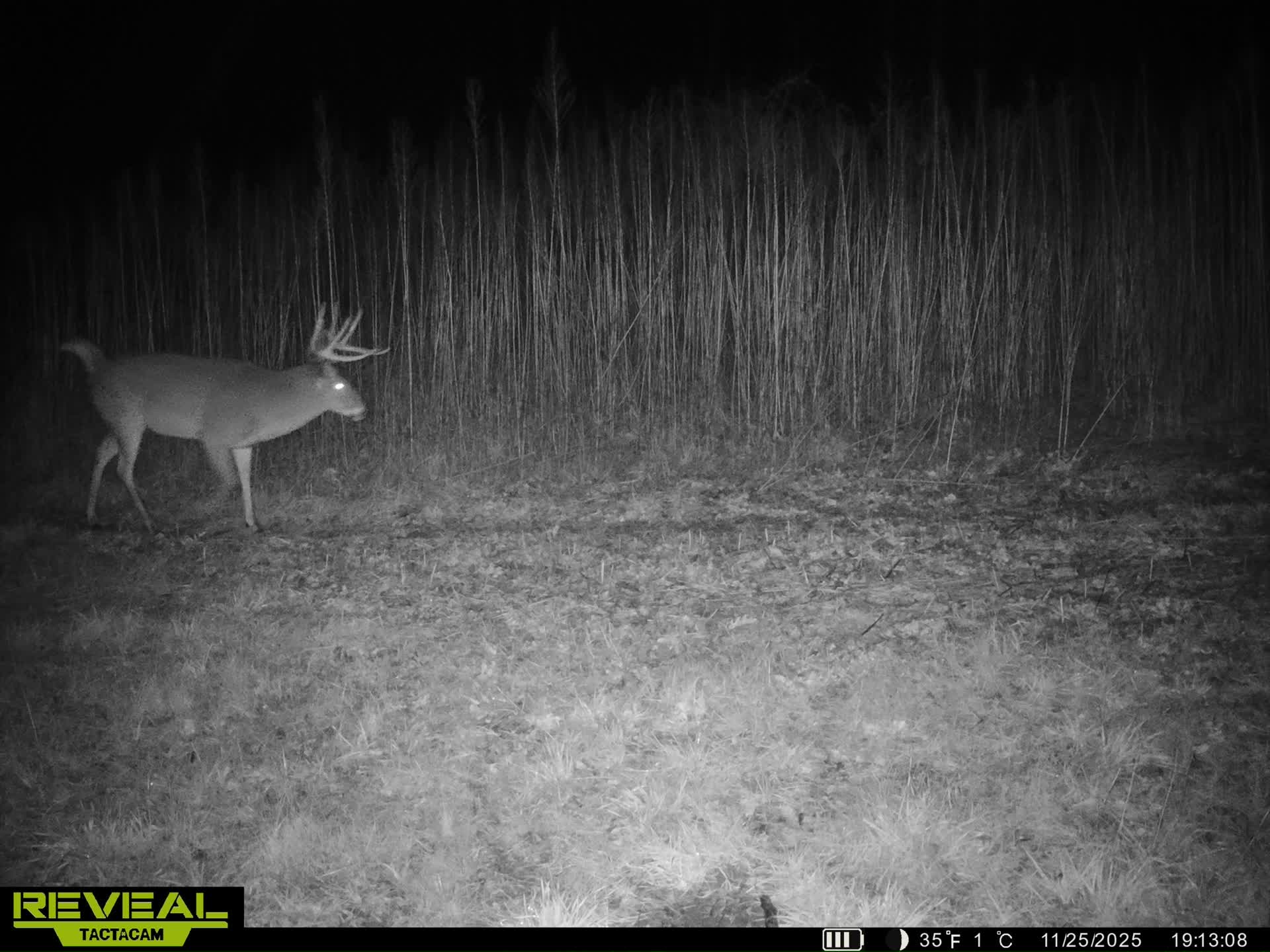 100 +/- Acre Ridge-Top Driftless Retreat in Crawford County WI