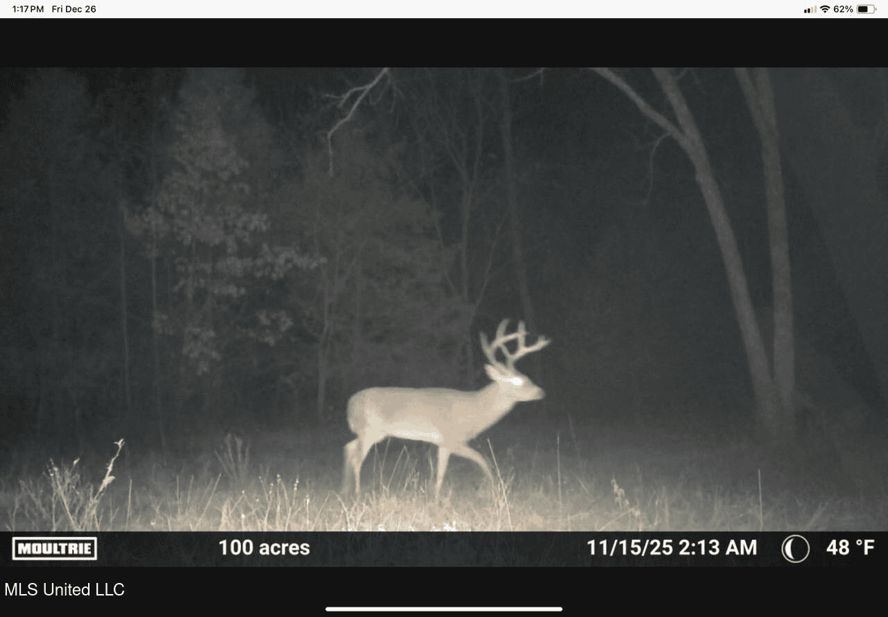 84.5 Acres in Woodville, MS on Hwy 24 with Creeks