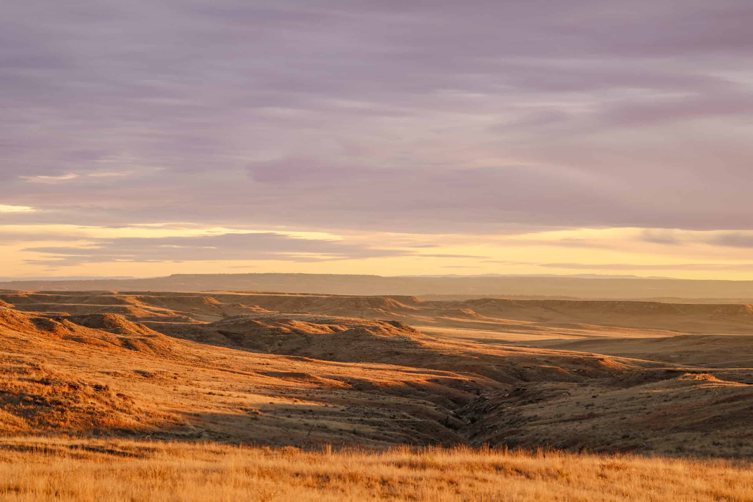 S Bar Ranch – 19,816± Acres North of Custer, Yellowstone County, Montana