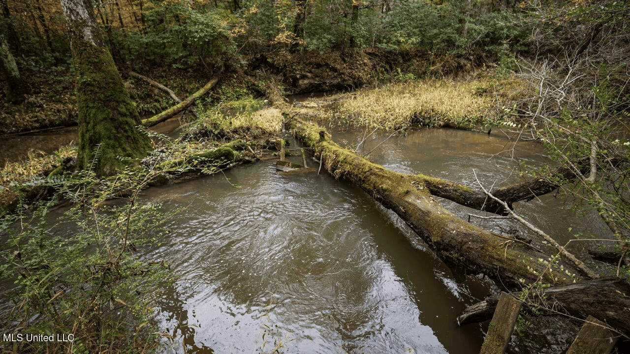 Asilo Farms on Bala Chitto Creek, Southwest Mississippi