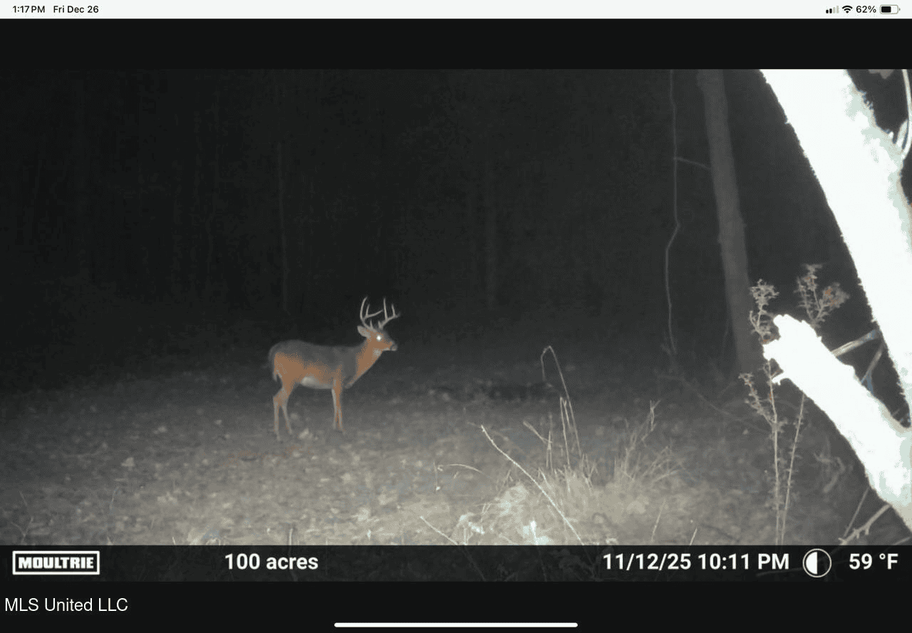 84.5 Acres in Woodville, MS on Hwy 24 with Creeks