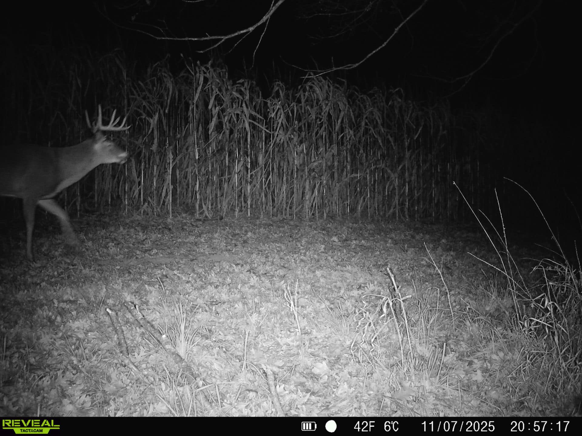 57+/- Acre Retreat in Wisconsin’s Driftless Area, Crawford County