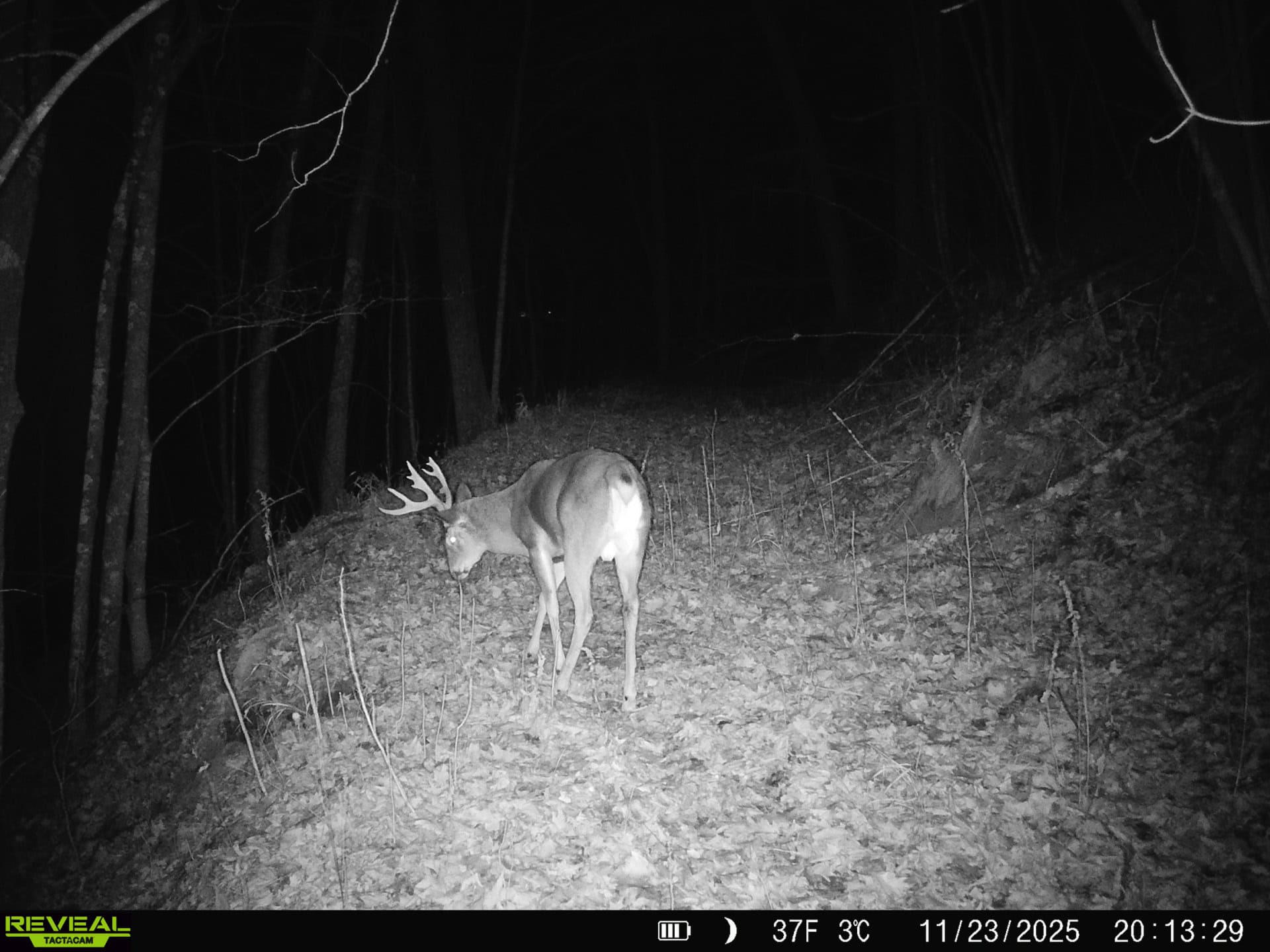 57+/- Acre Retreat in Wisconsin’s Driftless Area, Crawford County