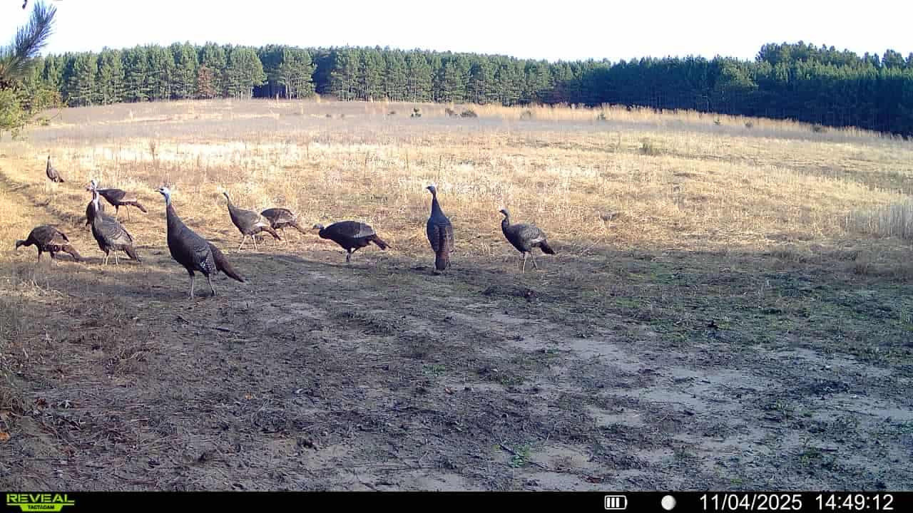 1565 Hwy 71 – Sparta, Wisconsin | 286± Acres | Monroe County