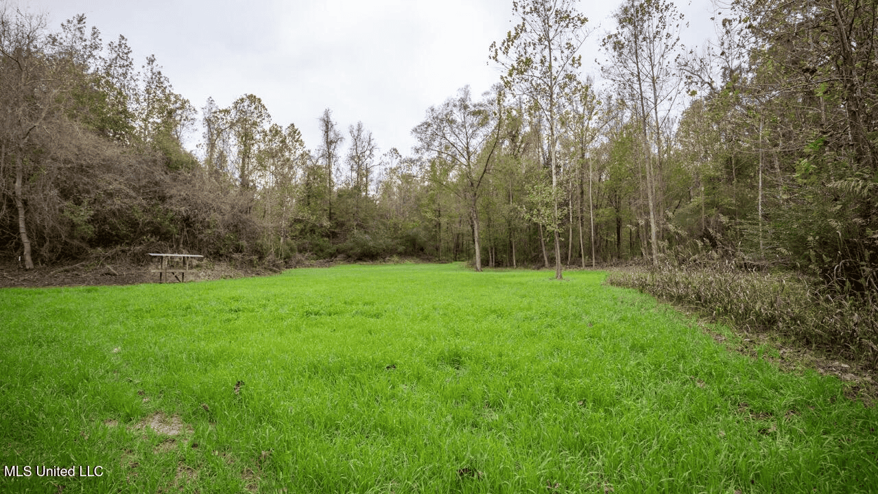 Woodville, MS – 40 Acres with Income-Producing Camp