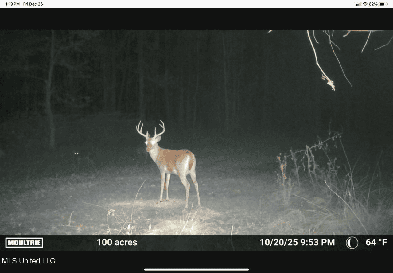 84.5 Acres in Woodville, MS on Hwy 24 with Creeks