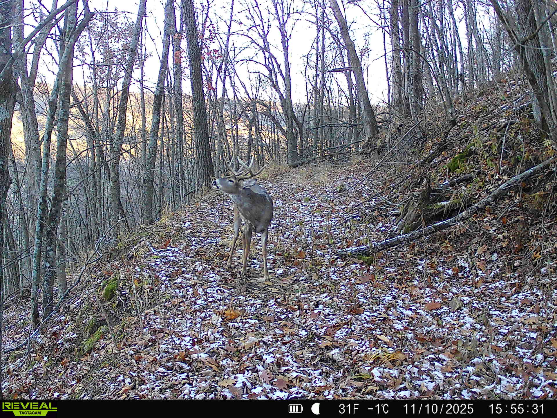 100 +/- Acre Ridge-Top Driftless Retreat in Crawford County WI