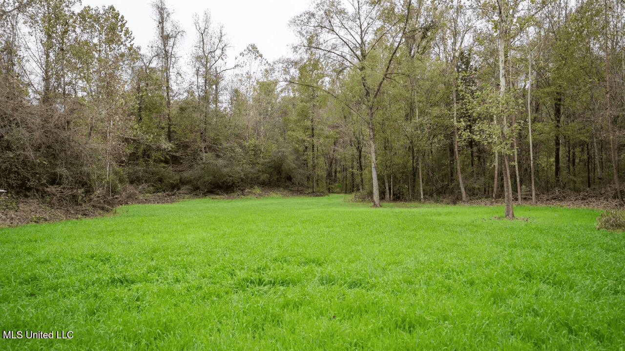 Woodville, MS – 40 Acres with Income-Producing Camp