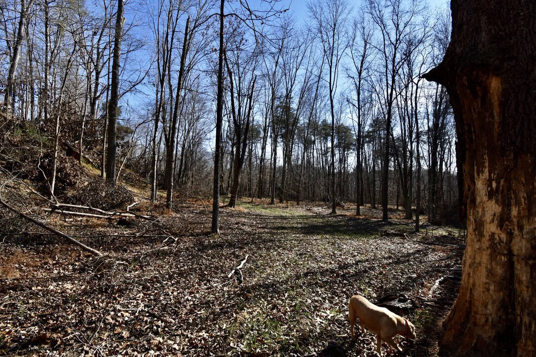 Warrick County IN Hunting and Recreational Property For Sale