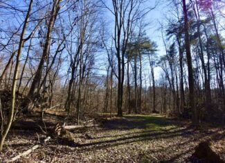 Warrick County IN Hunting and Recreational Property For Sale