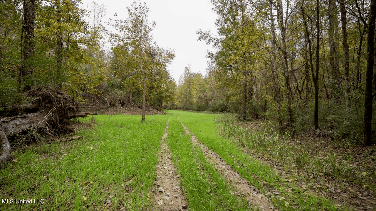 Woodville, MS – 40 Acres with Income-Producing Camp
