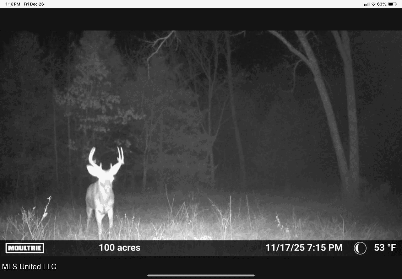 84.5 Acres in Woodville, MS on Hwy 24 with Creeks