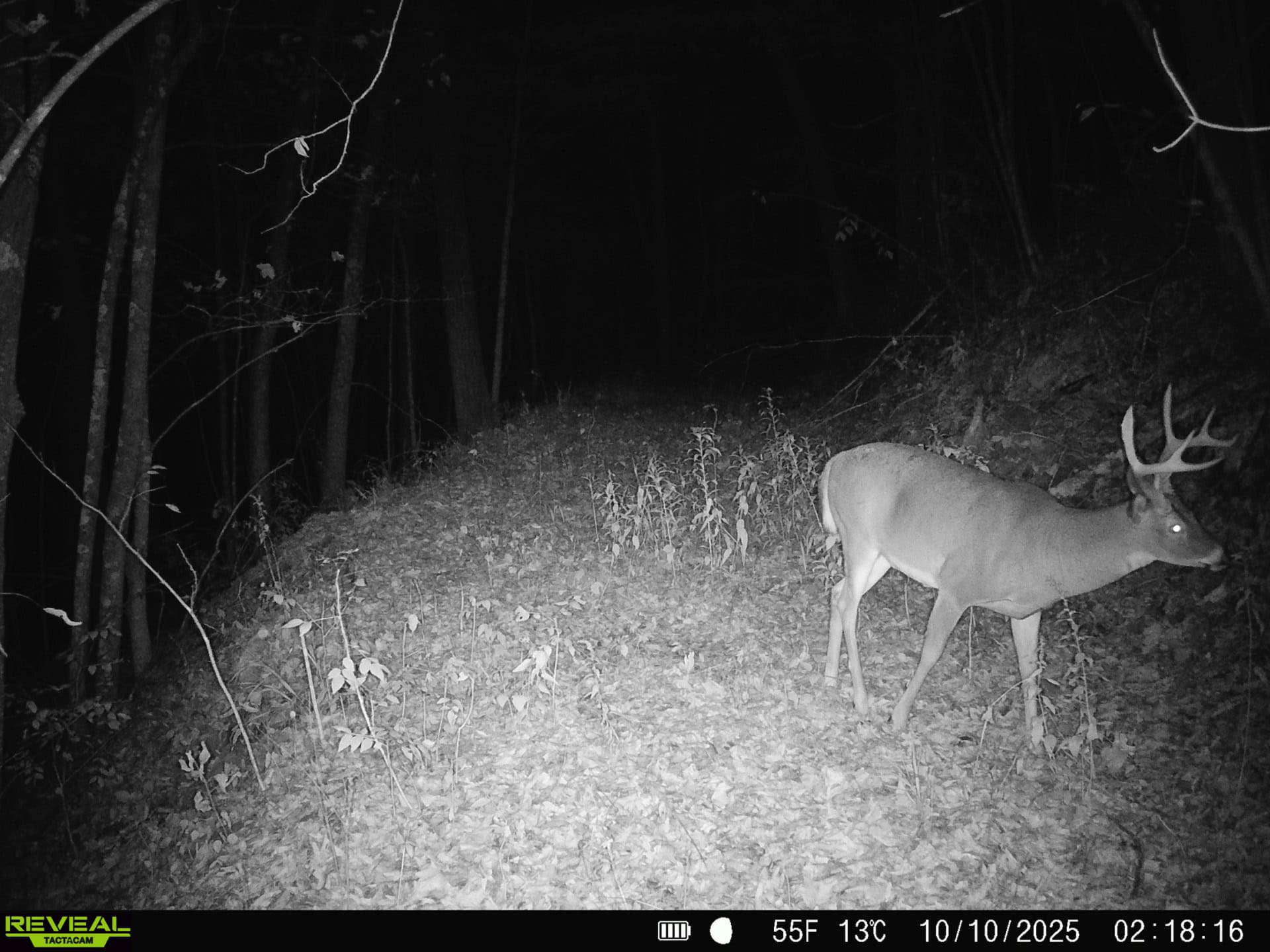 57+/- Acre Retreat in Wisconsin’s Driftless Area, Crawford County