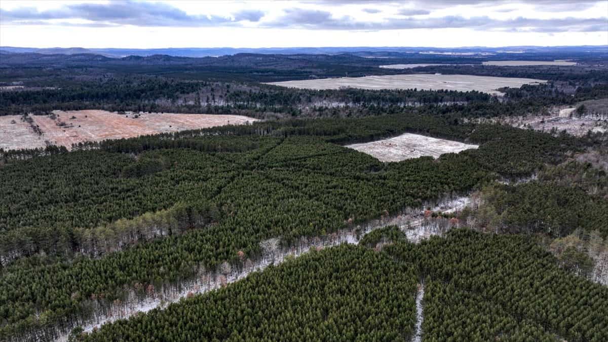 1565 Hwy 71 – Sparta, Wisconsin | 286± Acres | Monroe County