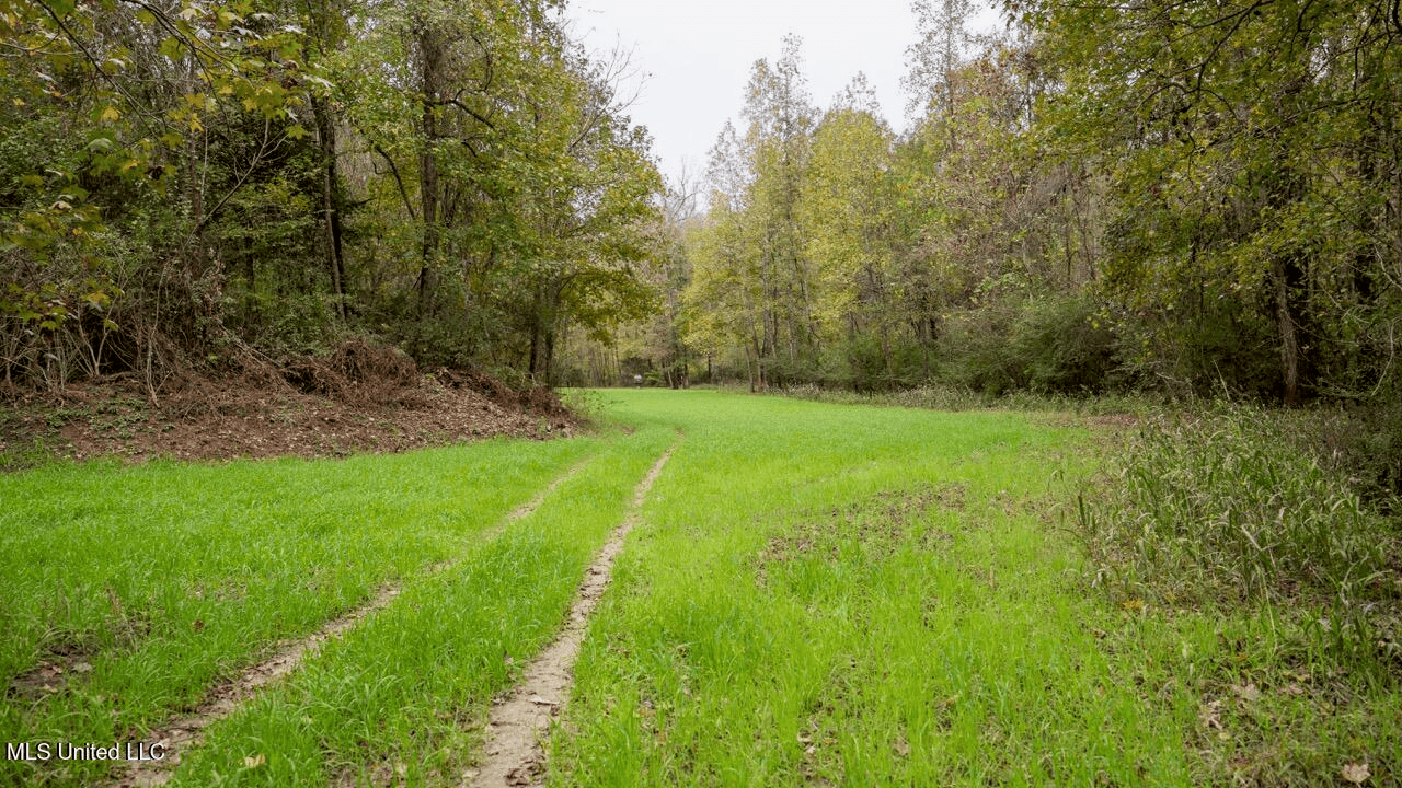 Woodville, MS – 40 Acres with Income-Producing Camp