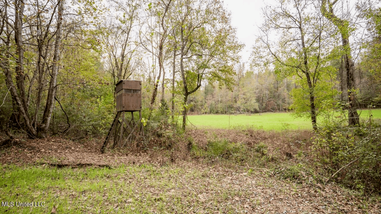 Woodville, MS – 40 Acres with Income-Producing Camp