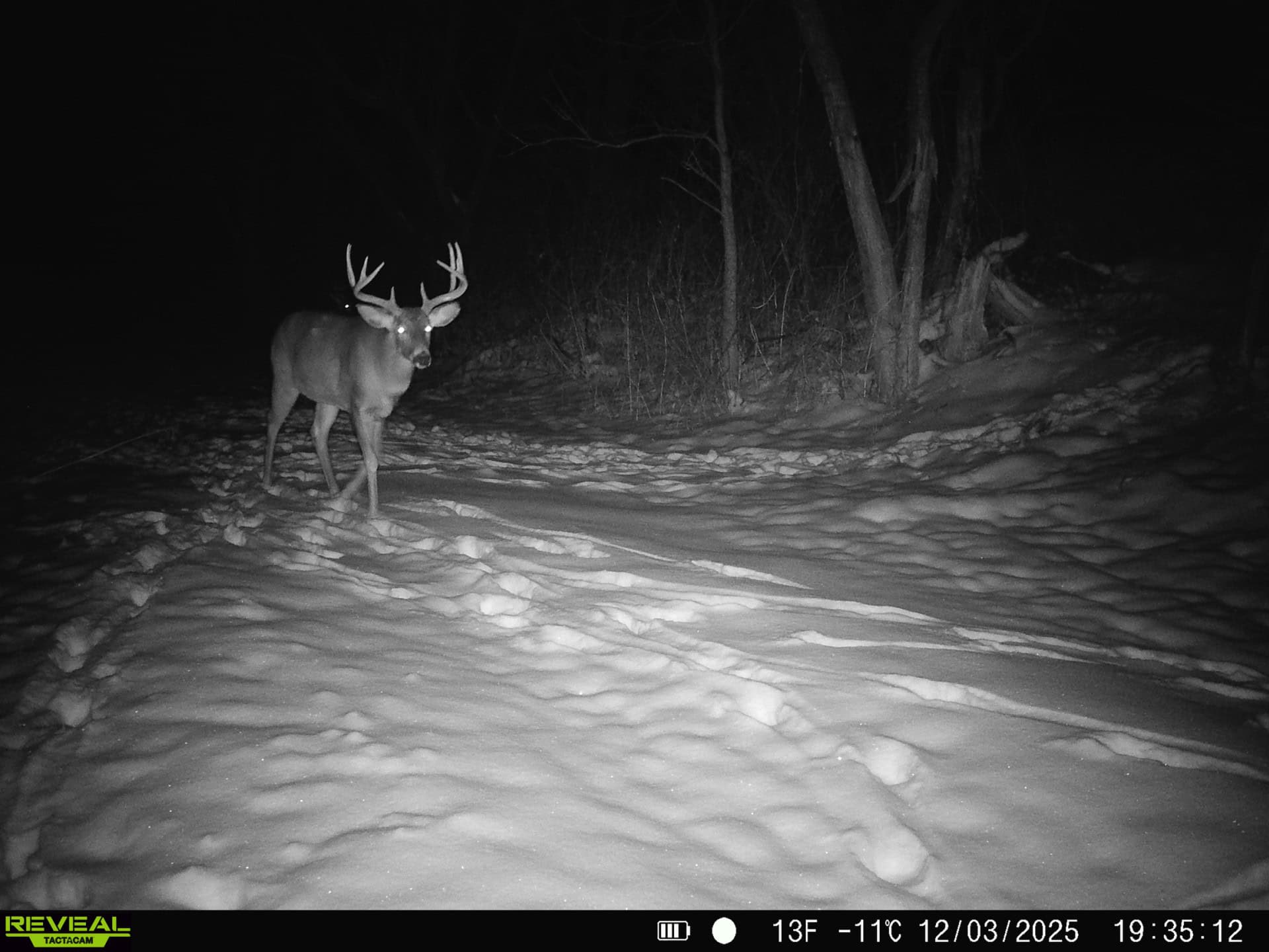 57+/- Acre Retreat in Wisconsin’s Driftless Area, Crawford County