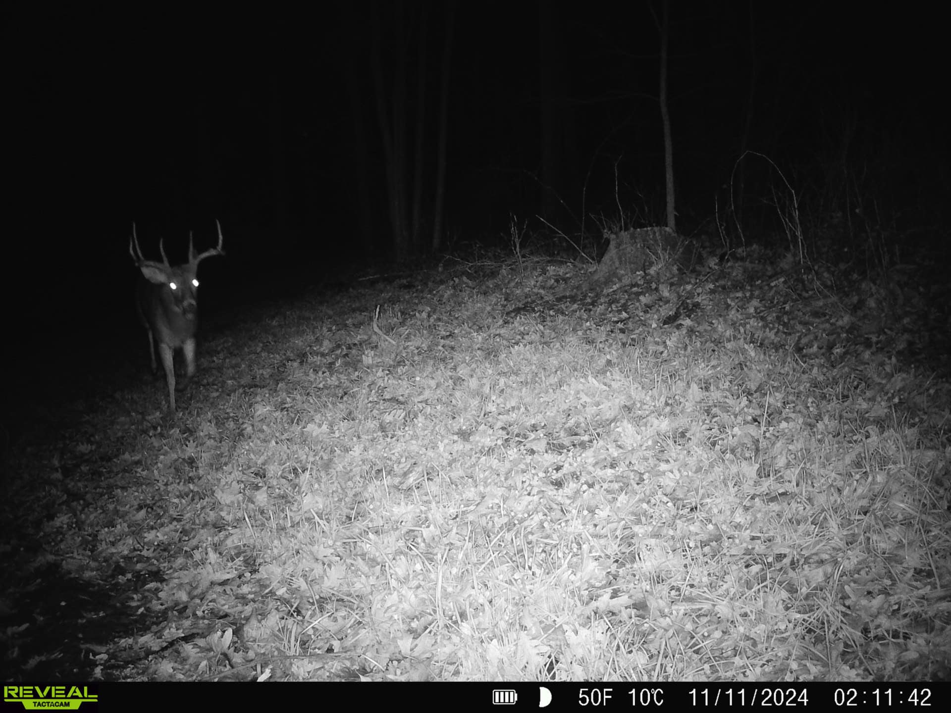 57+/- Acre Retreat in Wisconsin’s Driftless Area, Crawford County