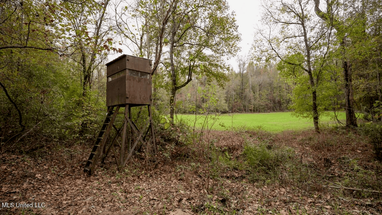 Woodville, MS – 40 Acres with Income-Producing Camp