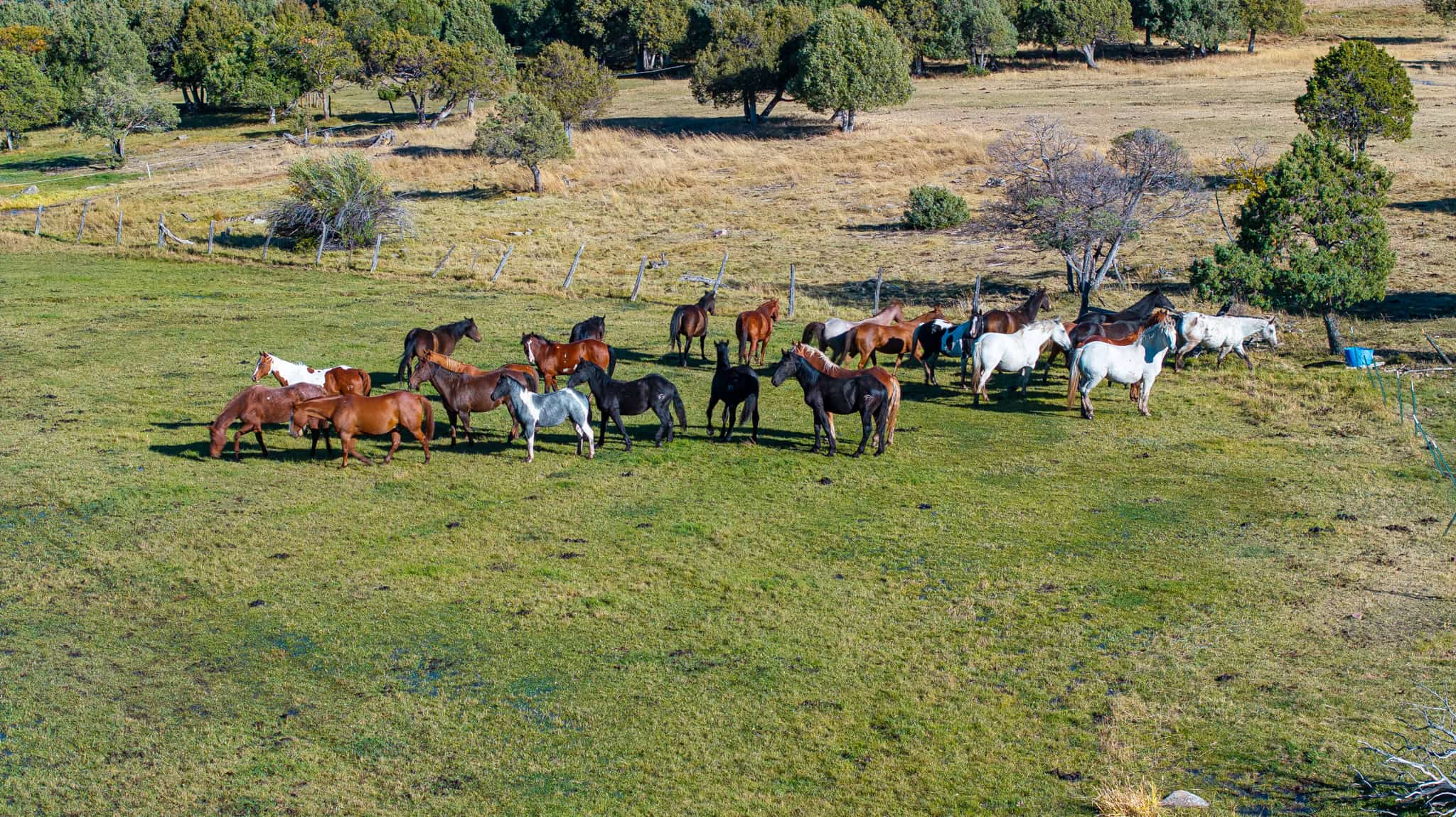 Colorado Mountain Legacy Ranch – The Gates Ranch