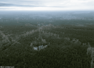 283± Acres for Sale Amite County, Mississippi