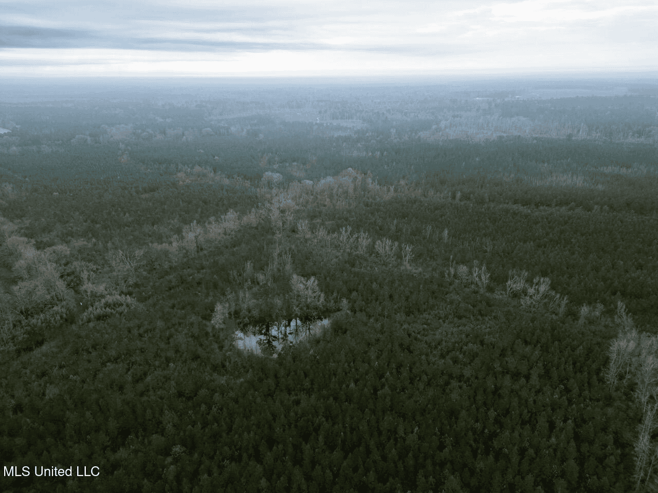 283± Acres for Sale Amite County, Mississippi