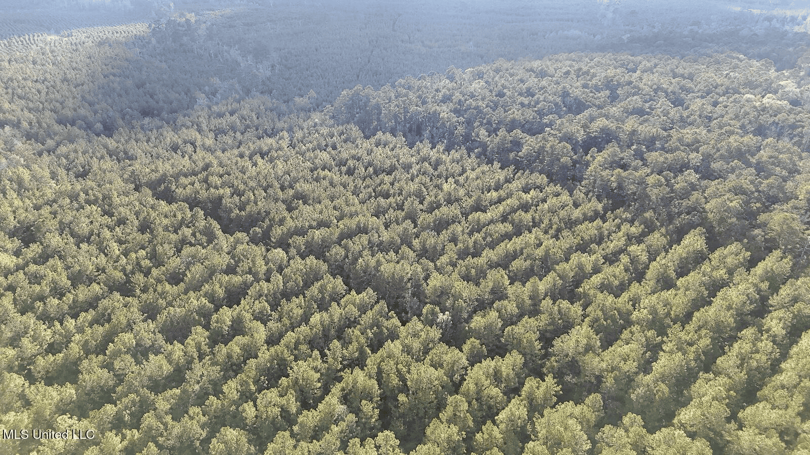 Prime Hunting Property in St Helena Parish, LA