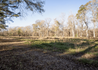 84.5 Acres in Woodville, MS on Hwy 24 with Creeks