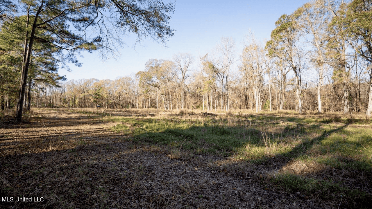 84.5 Acres in Woodville, MS on Hwy 24 with Creeks
