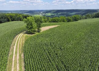 57+/- Acre Retreat in Wisconsin’s Driftless Area, Crawford County