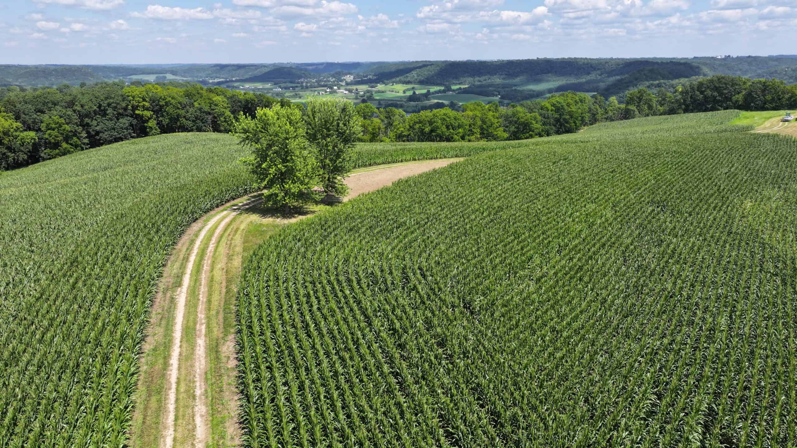 100 +/- Acre Ridge-Top Driftless Retreat in Crawford County WI