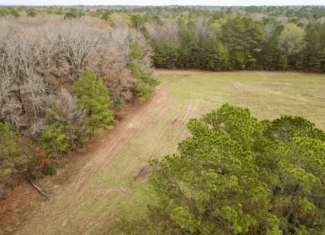 Timberland Farmland For Sale Clay County MS