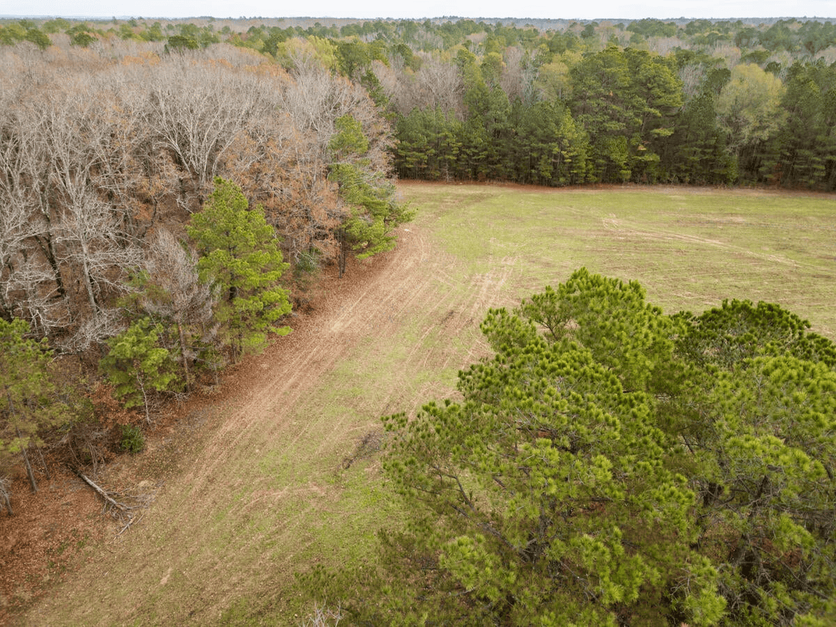 Timberland Farmland For Sale Clay County MS
