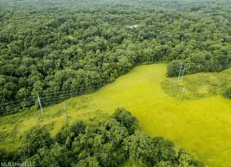 159 Acres in Port Hudson, Louisiana