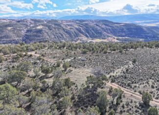 Vacant Hunting Land Borders BLM For Sale in Western Colorado