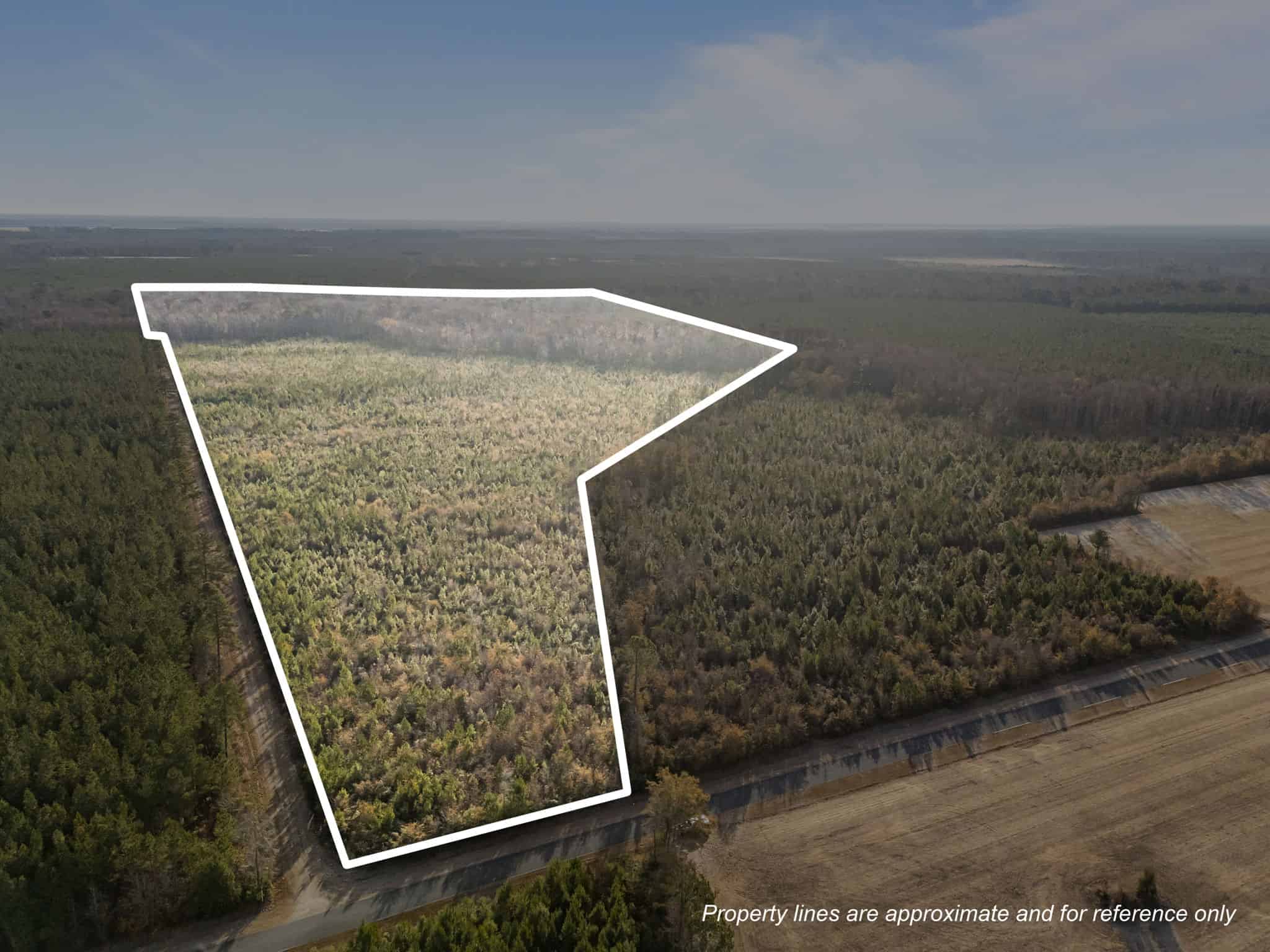 52-Acre Timber and Hunting Tract Near New Bern, NC