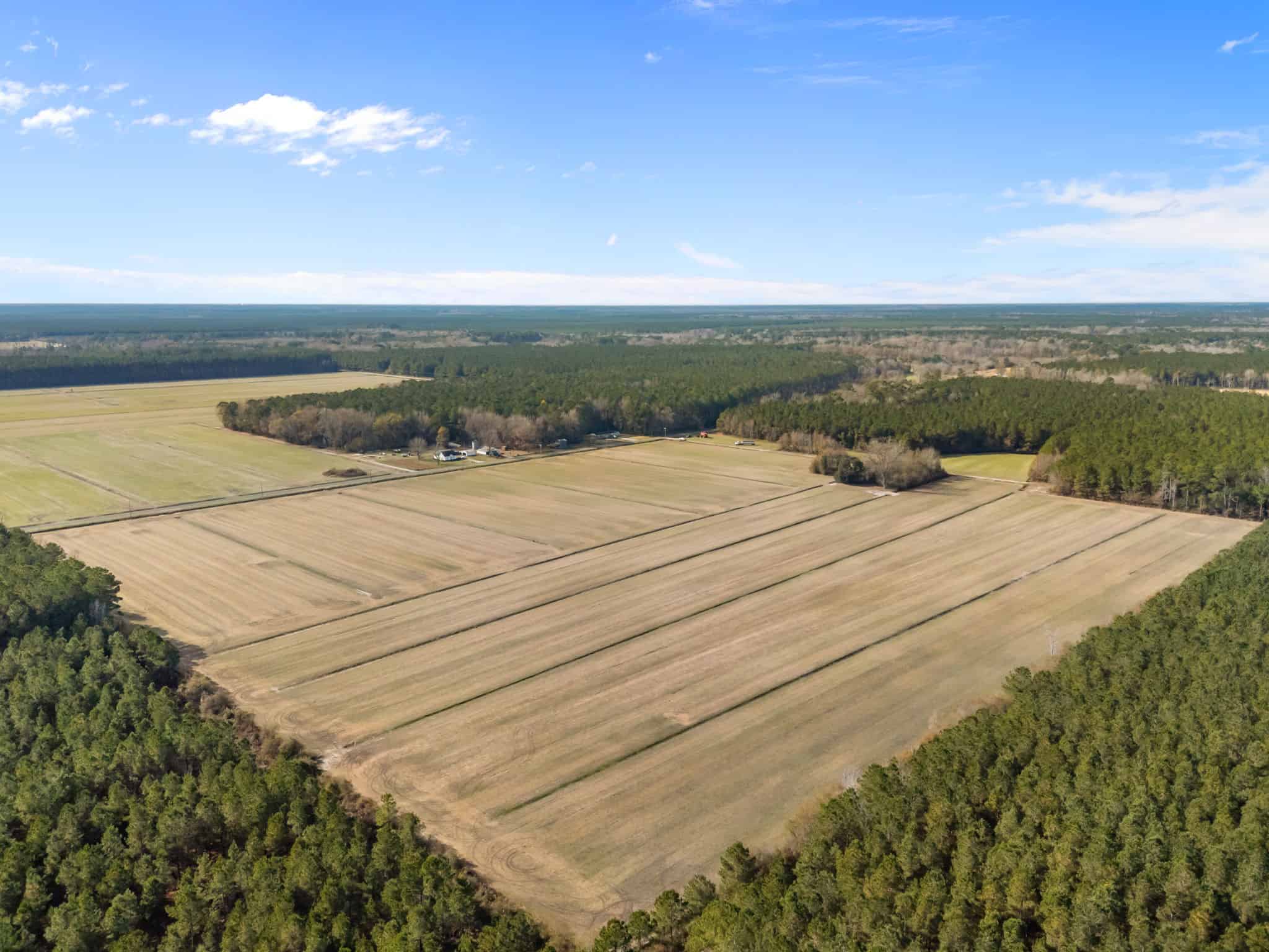 93-Acre Farm & Timber and Hunting Tract Near Washington, NC