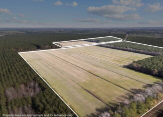 125 Acres of Farmland & Timberland on Tuten Road for Sale