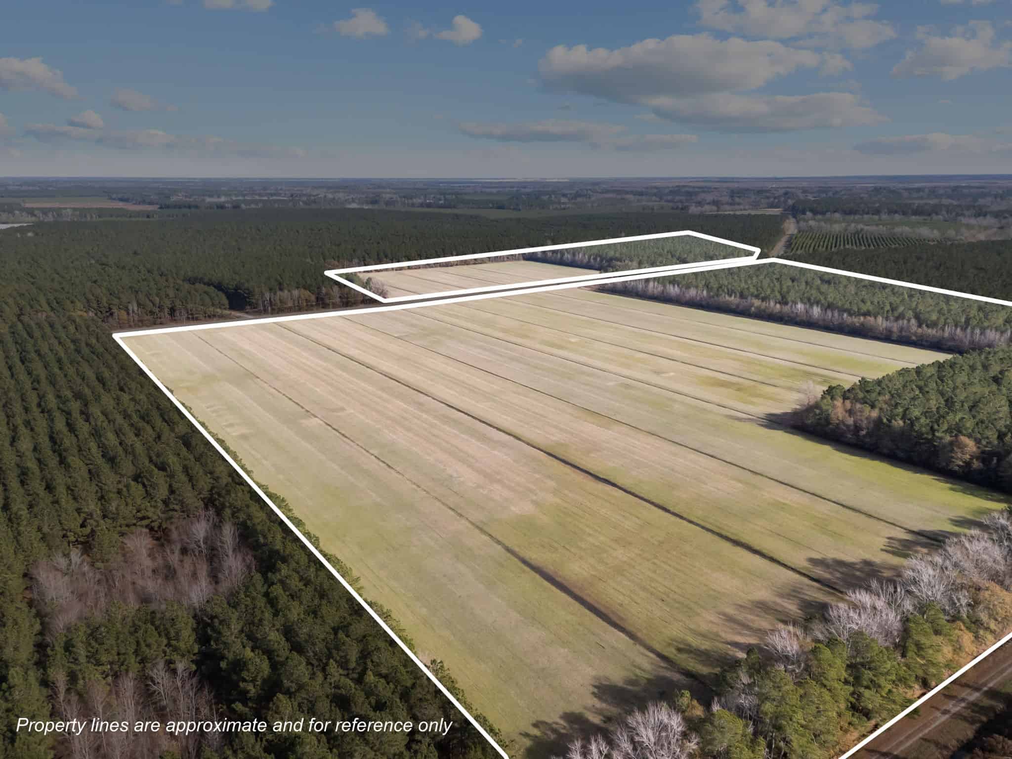 125 Acres of Farmland & Timberland on Tuten Road for Sale