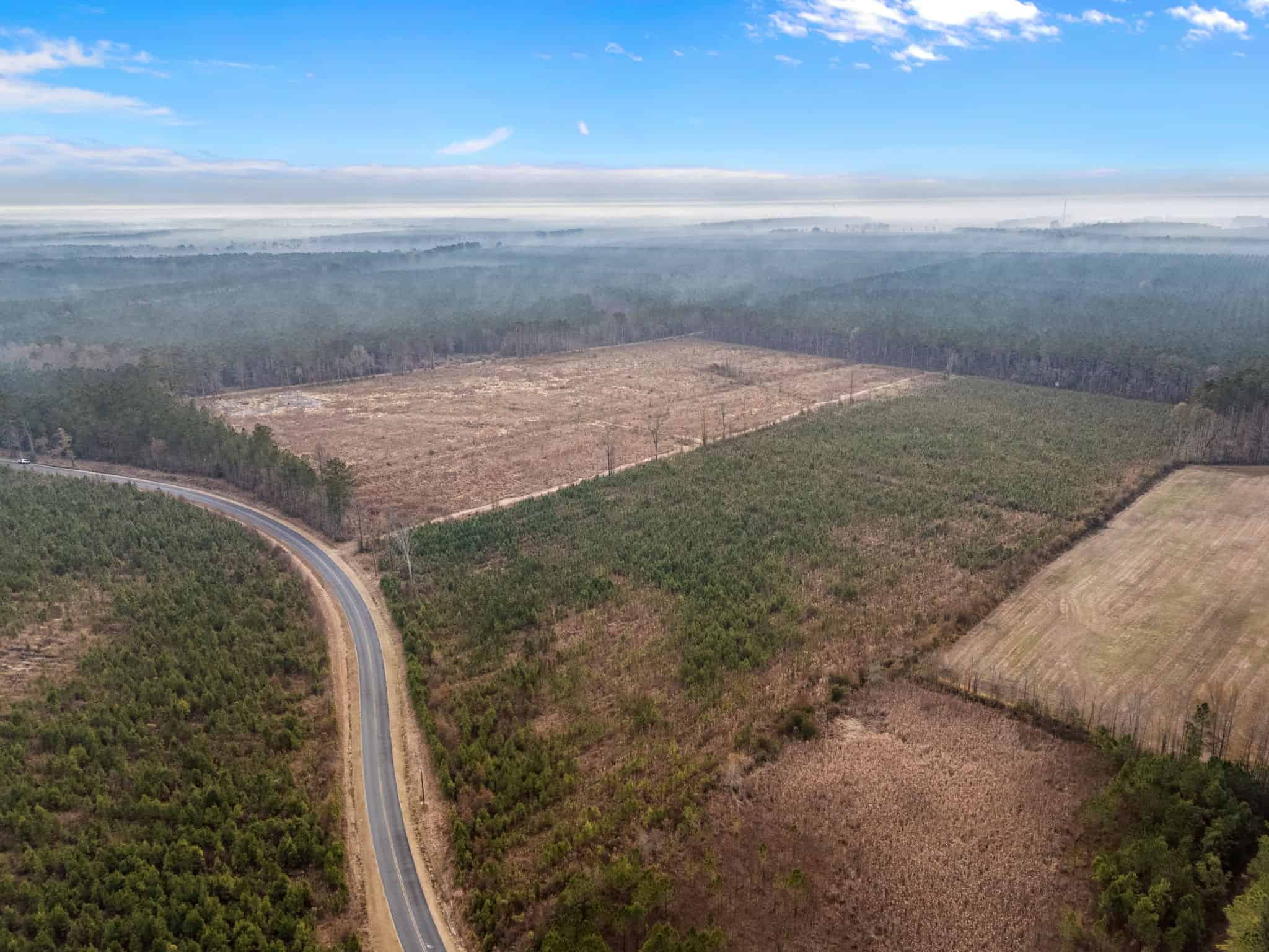 51-Acre Timber & Hunting Tract on Blounts Creek, NC