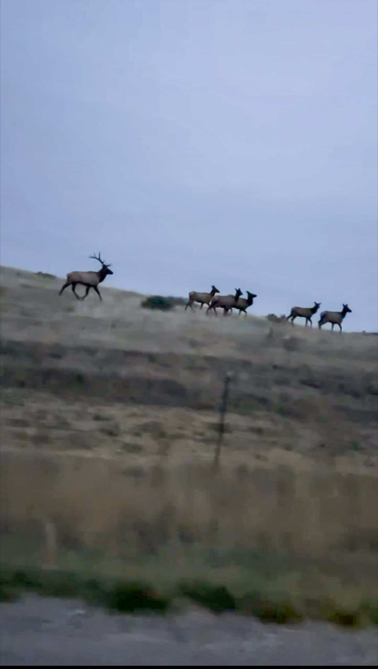 S Bar Ranch – 19,816± Acres North of Custer, Yellowstone County, Montana